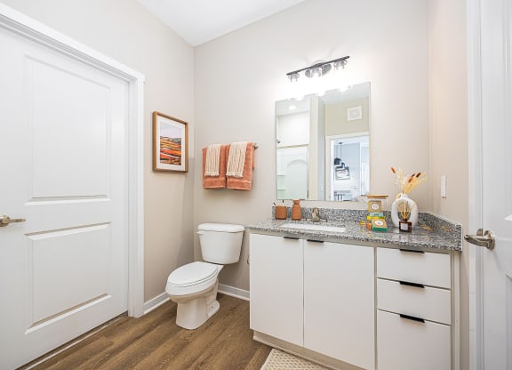 a bathroom with a toilet and a sink and a mirror
