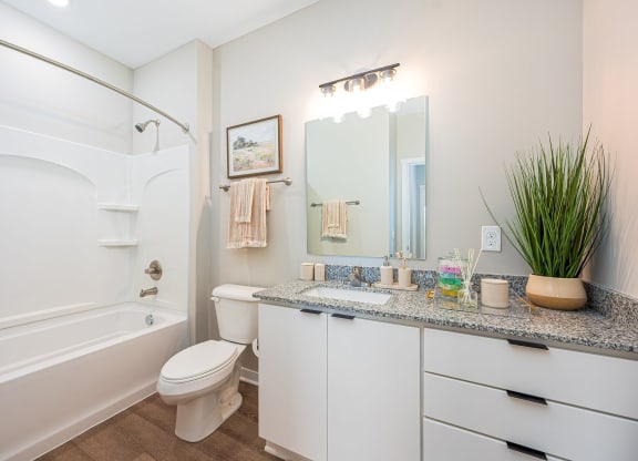 a bathroom with a sink toilet and a bath tub