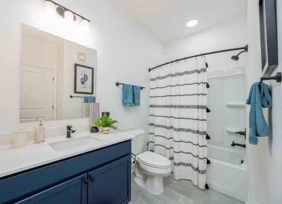 a bathroom with a sink and a toilet and a shower