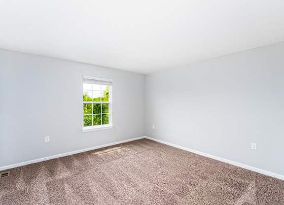 A room with a carpeted floor and a window showing greenery outside.