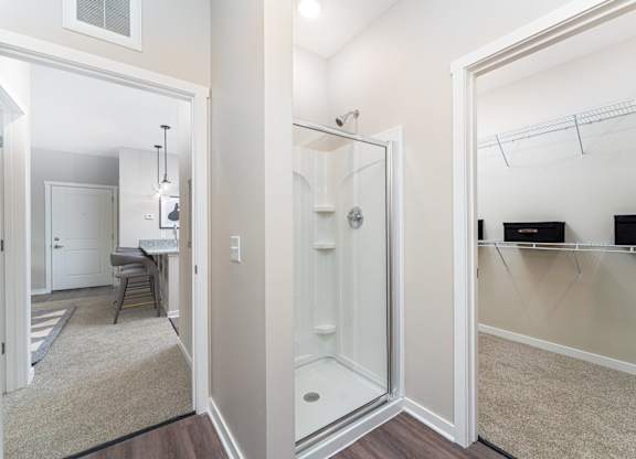 A bathroom with a walk-in shower and a vanity with a mirror.