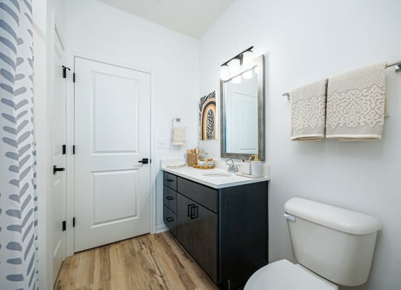 a bathroom with a toilet sink and a mirror