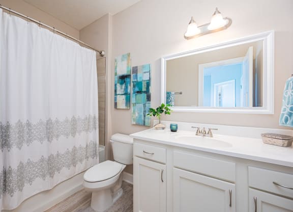 a bathroom with a shower curtain and a toilet