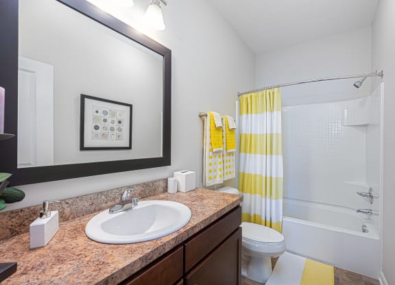 a bathroom with a sink and a shower and a toilet