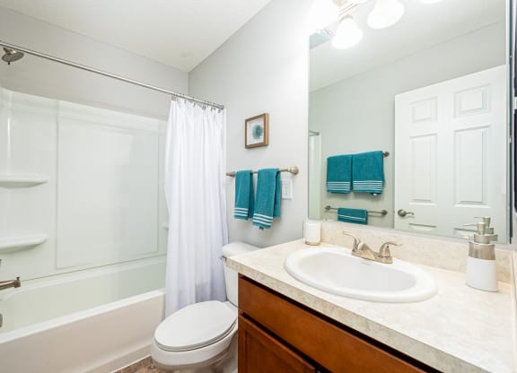 a bathroom with a sink and a toilet and a shower