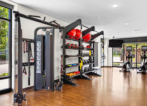 A gym with a variety of equipment including a squat rack, bench press, and a rowing machine.