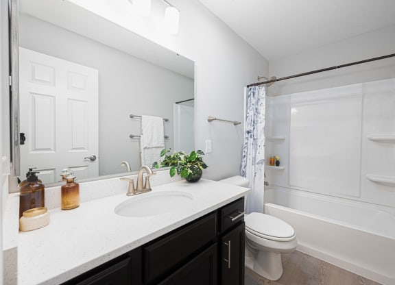 a bathroom with a sink and a shower and a toilet
