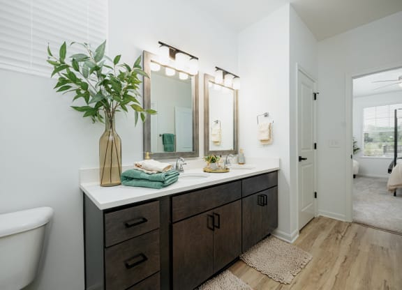 a bathroom with a sink and a toilet and a mirror