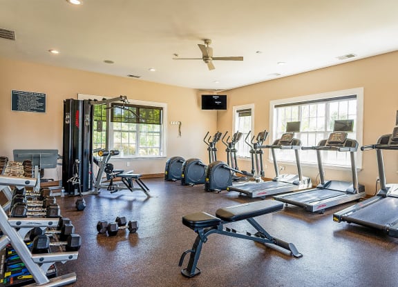the fitness room has plenty of weights and cardio equipment
