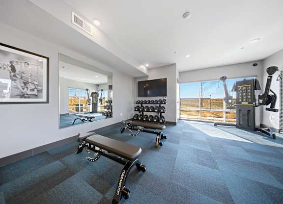 A gym with a bench, weights, and a mirror.