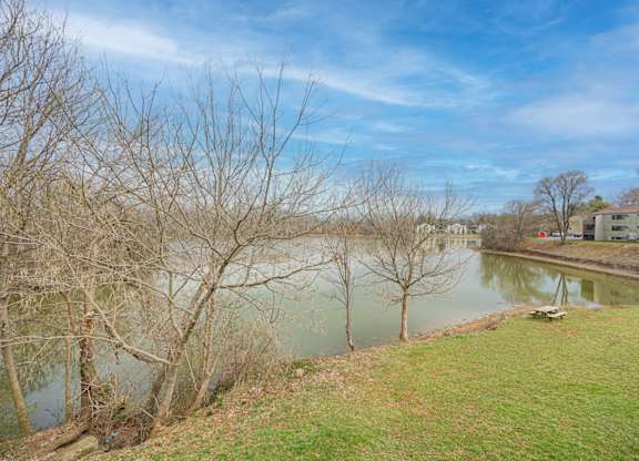 A river flows through a grassy area with trees on the left and a building on the right.