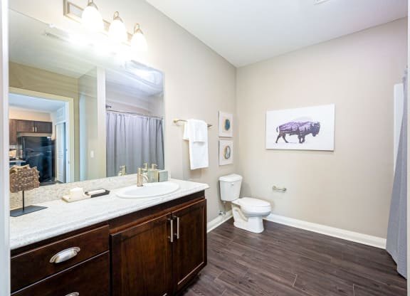 a bathroom with a mirror and a toilet and a sink