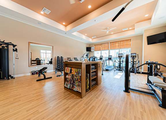 A gym with a variety of equipment including treadmills, weights, and a television.