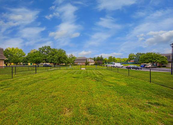 A large grassy field with a fence and trees in the distance.