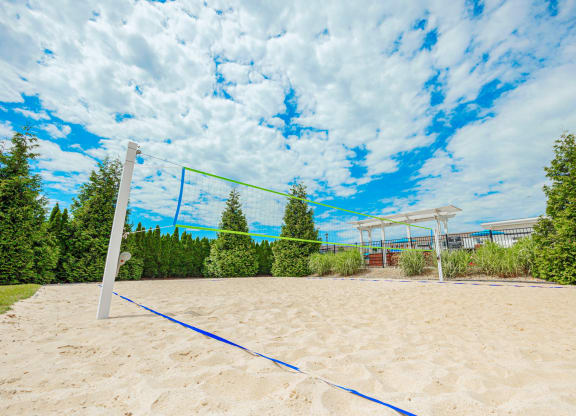 a volleyball court on the sand in a park with trees