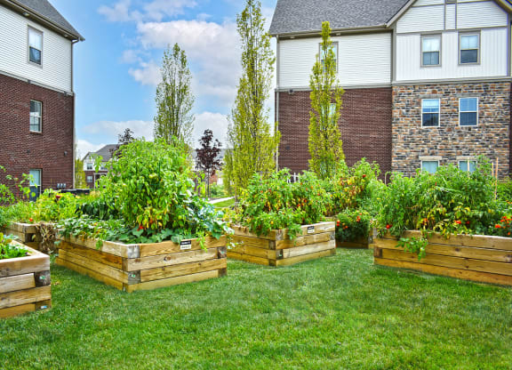 Ravines at Westar Garden