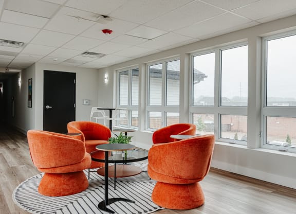 a lounge area with orange chairs and a black and white rug