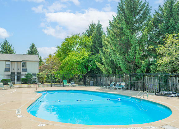 our apartments have a resort style pool with trees