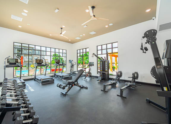 the gym has plenty of cardio equipment and windows