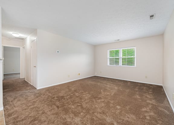 an empty living room with carpet and a window