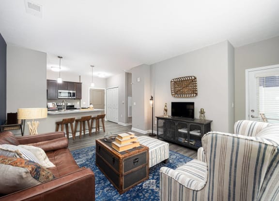 a living room with two couches and a tv