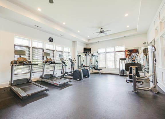 the gym has plenty of cardio equipment and windows