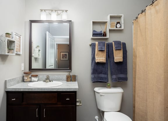 a bathroom with a toilet sink and mirror and towel racks