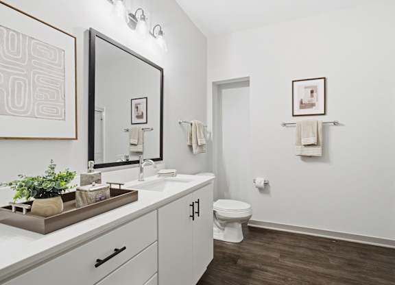 A bathroom with a toilet, sink, and mirror.