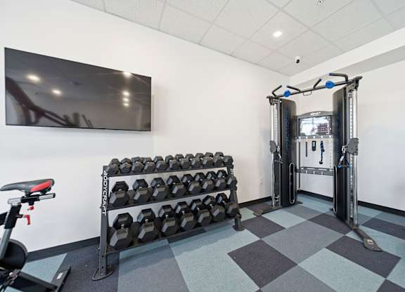 A gym with a row of dumbbells, a bench, and a squat rack.