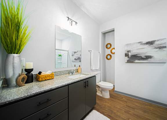 A bathroom with a white toilet and a large mirror.