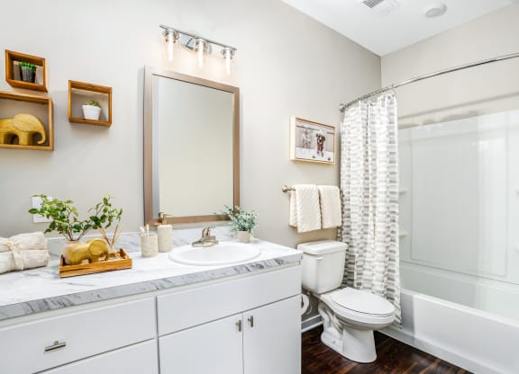 a bathroom with a shower toilet and sink and a mirror