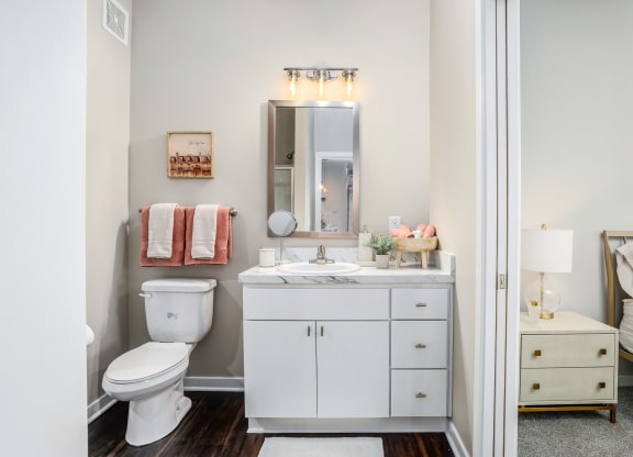 a bathroom with a toilet and a sink and a mirror