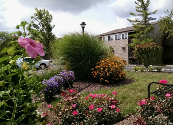Greene Countrie Garden