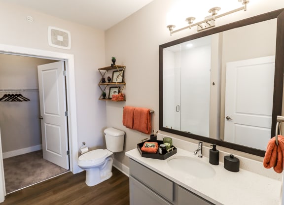 the enclave at homecoming terra vista bathroom