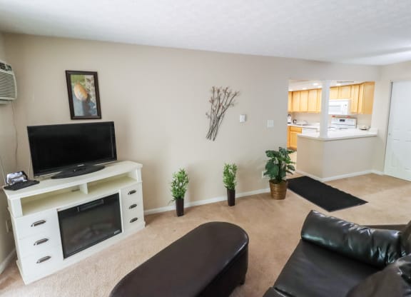 a living room with a television and a kitchen