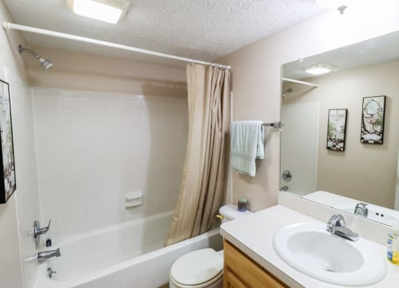 the preserve at ballantyne commons apartment bathroom with tub sink and mirror