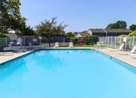 the swimming pool at the falls at rolland park apartments fl