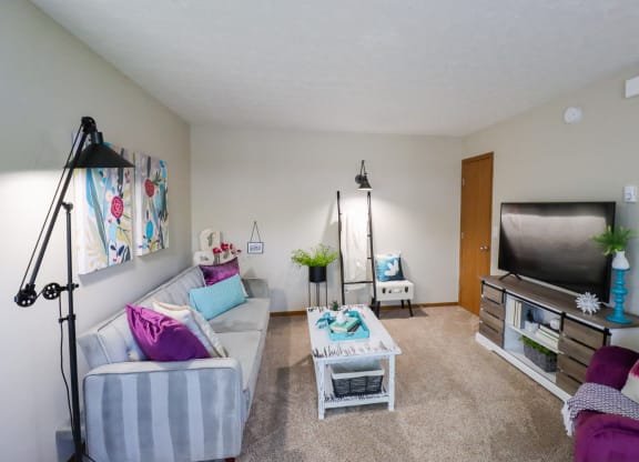 A living room with a grey couch, a white coffee table, and a television.