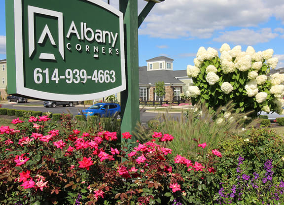 Albany Corners