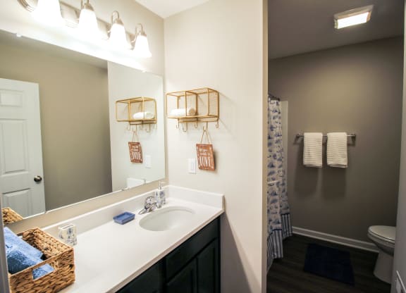 a bathroom with a sink and a toilet