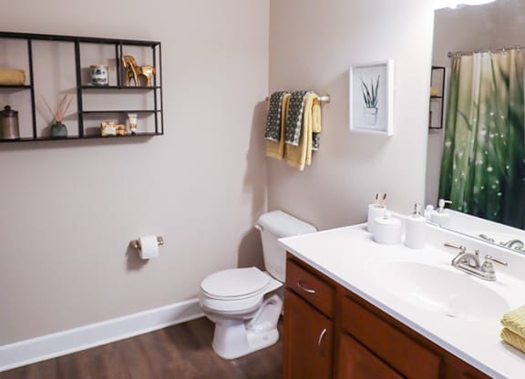 a bathroom with a toilet and a sink and a mirror