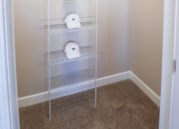a bathroom with a closet filled with toilet paper