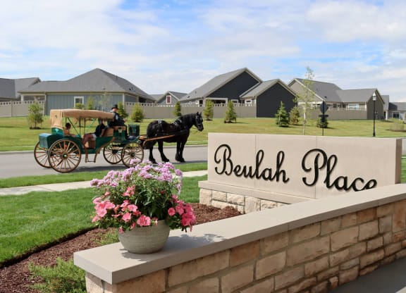a horse drawn carriage driving past a place sign