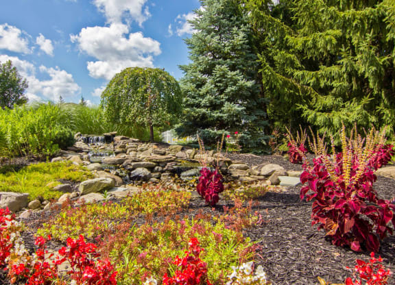 a garden with colorful plants and a stream