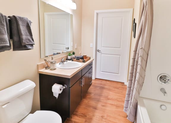 a bathroom with a sink and a toilet and a shower