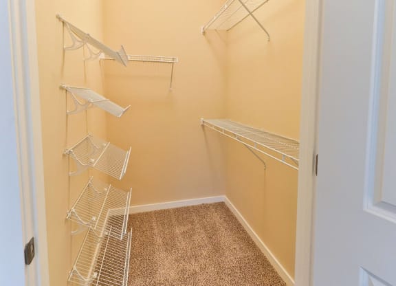 an empty closet with three hanging racks in a closet with a door