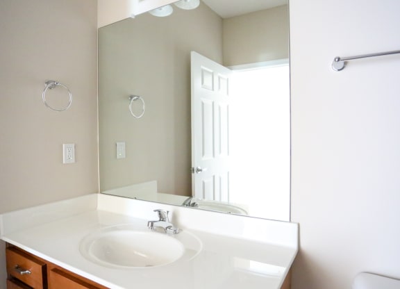 a bathroom with a sink and a large mirror