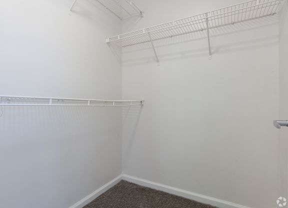 A white closet with a carpeted floor and a white door.