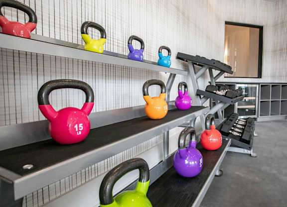 A set of kettlebells are lined up on a rack in a gym.