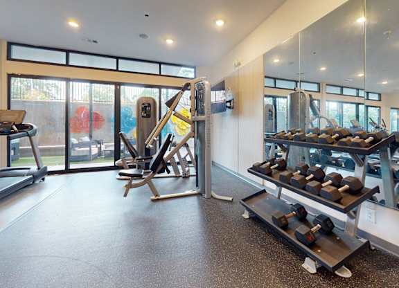 A gym with treadmills, weights and exercise equipment.